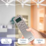 Quạt Trần Panasonic 5 Cánh F-60GFN Màu Trắng Có Đèn LED - Ảnh 6